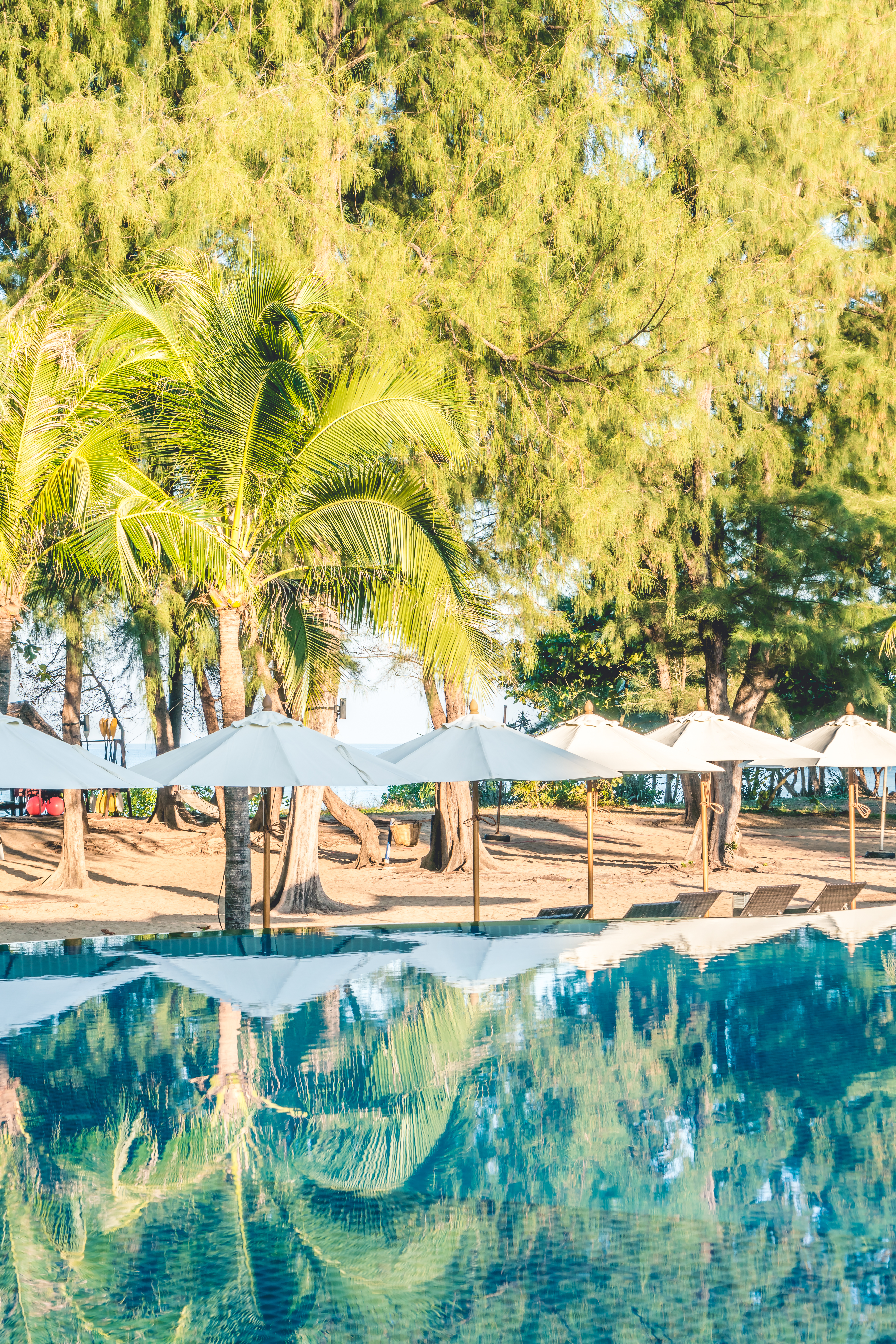 Engage and Learn: Upcoming Cultural Events and Workshops at
                                Moonlight Village Resort